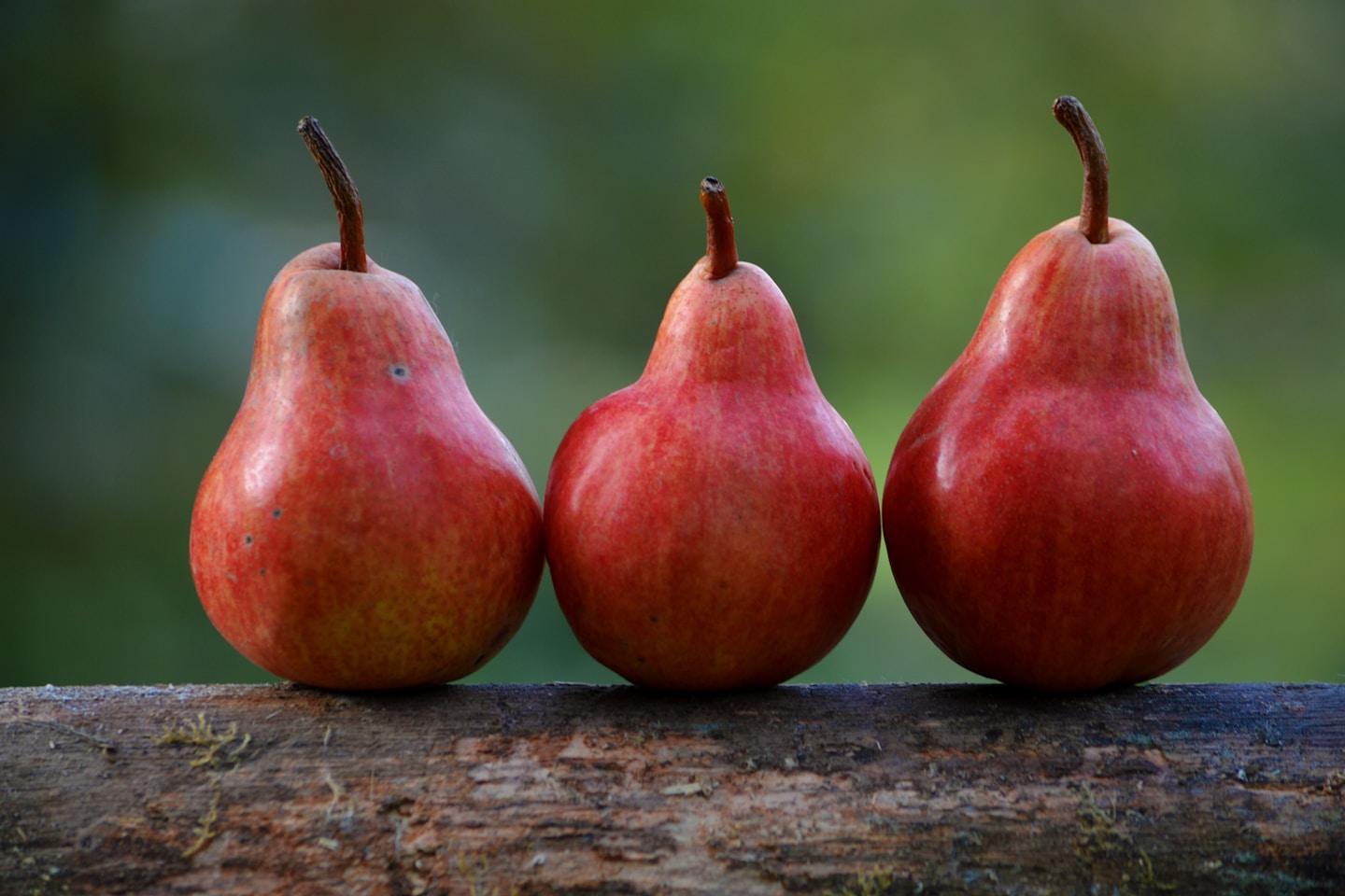 Pears